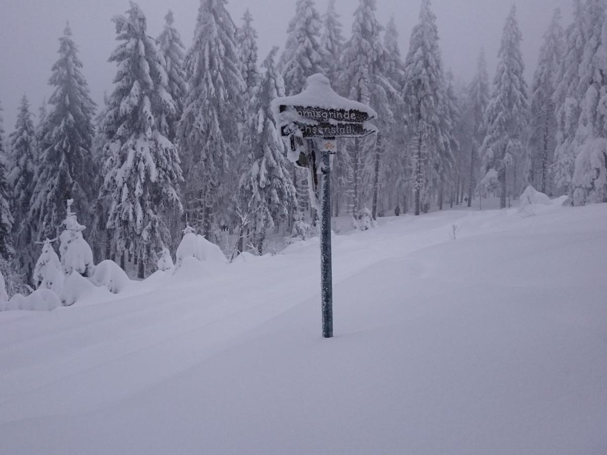 Fewo Vogesenblick Apartamento Lauf Exterior foto